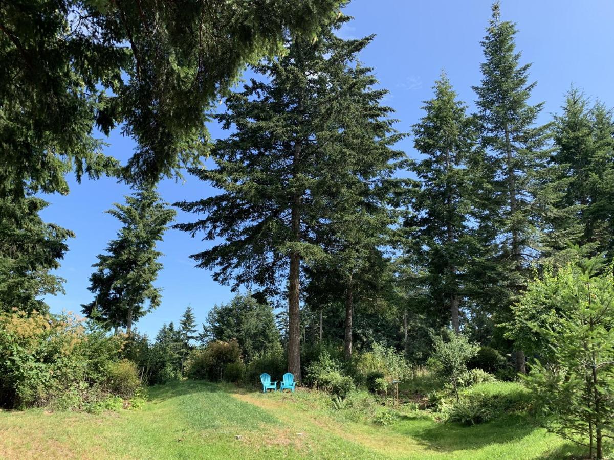 Forest By The Sea Rentals Merville Exteriör bild