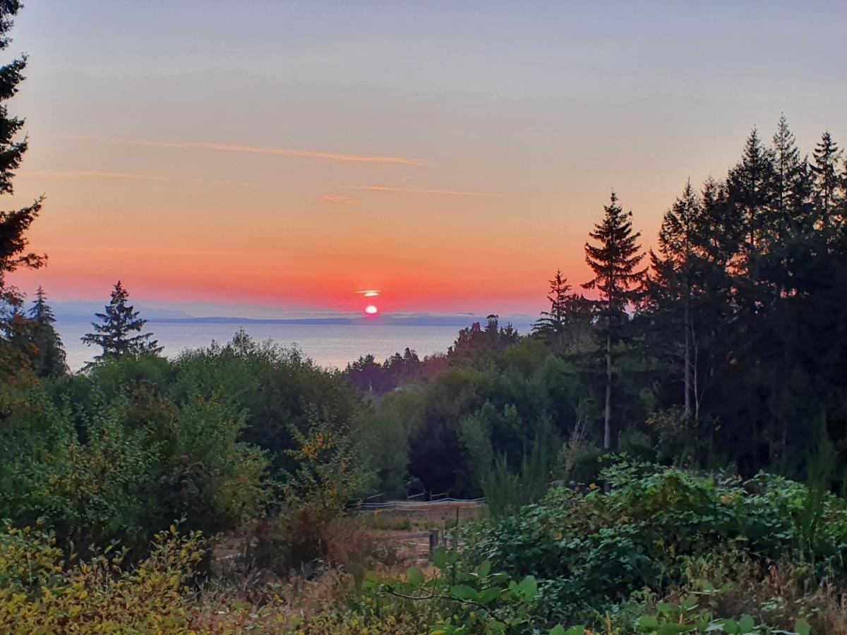 Forest By The Sea Rentals Merville Exteriör bild