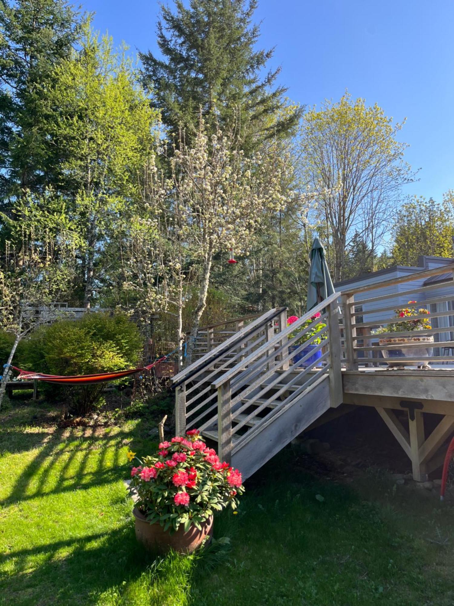 Forest By The Sea Rentals Merville Exteriör bild