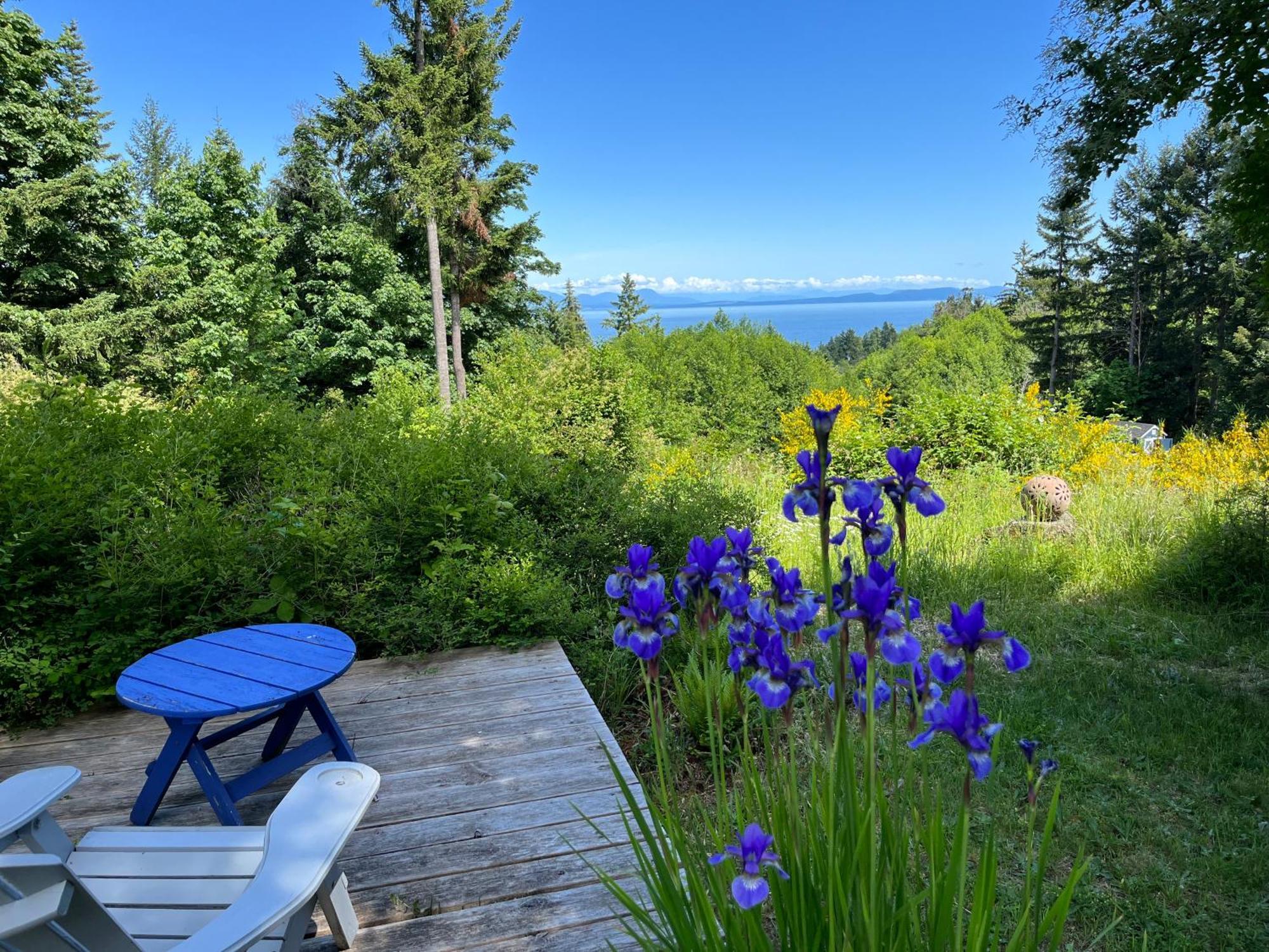 Forest By The Sea Rentals Merville Exteriör bild