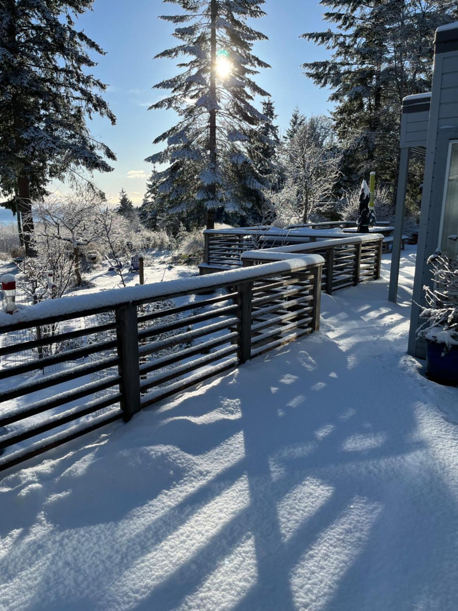 Forest By The Sea Rentals Merville Exteriör bild